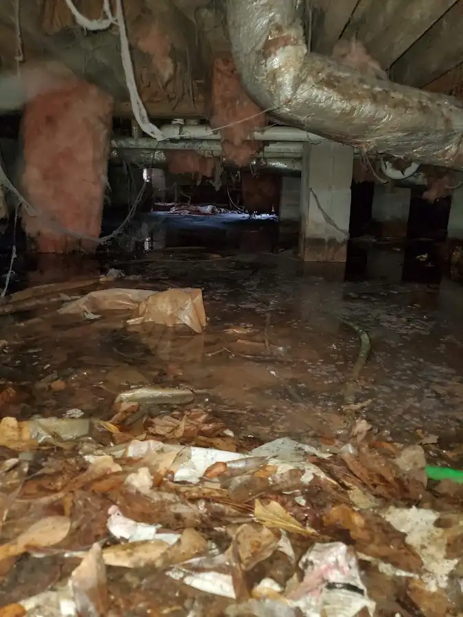 Crawl space flood assessment for Leak Detection & Repair in Victoria